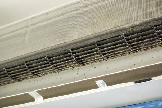 Best Local Air Duct Cleaning Services  in White Hall, WV